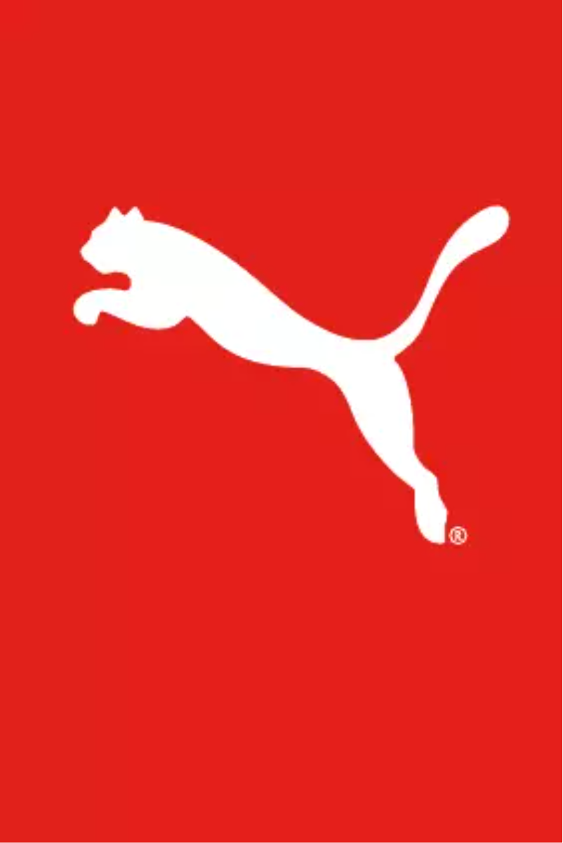 Página 1 del manual Manual de usuario Puma Form