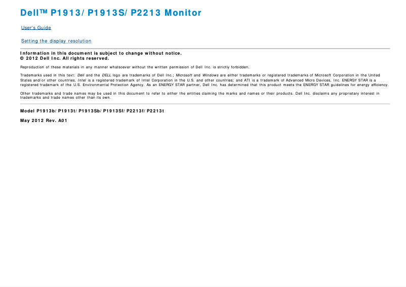 Imagen de la primera página del manual del dispositivo Professional P1913S