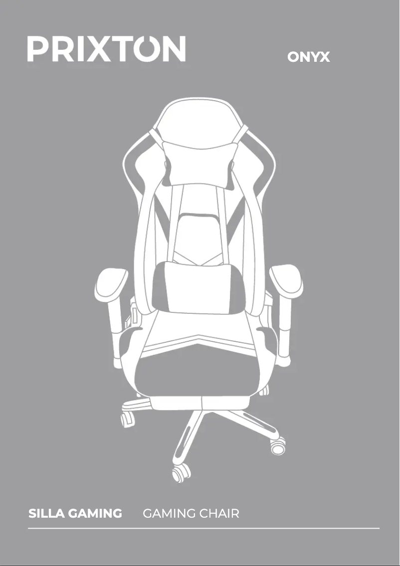 Imagen de la primera página del manual del dispositivo Onyx