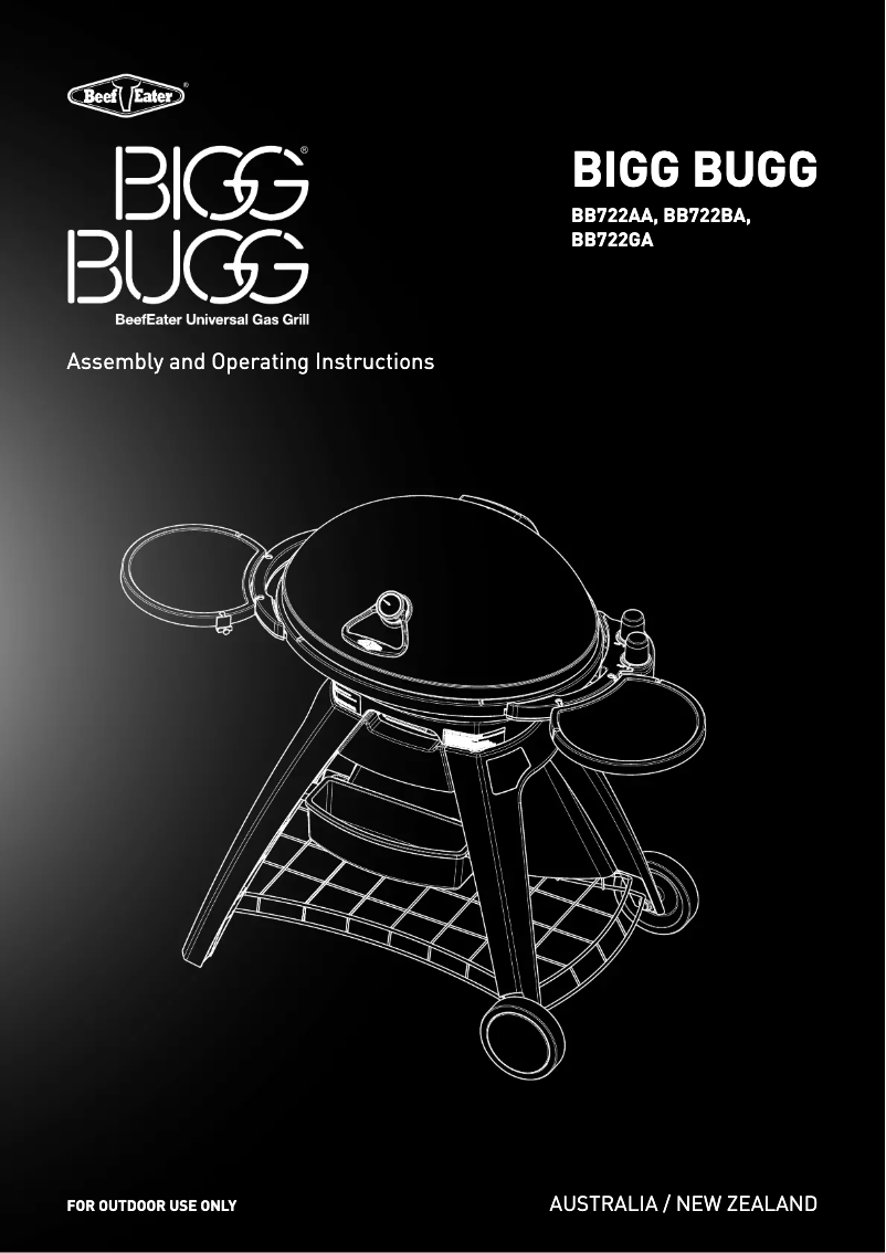 Imagen de la primera página del manual del dispositivo Bigg Bugg BB722BA
