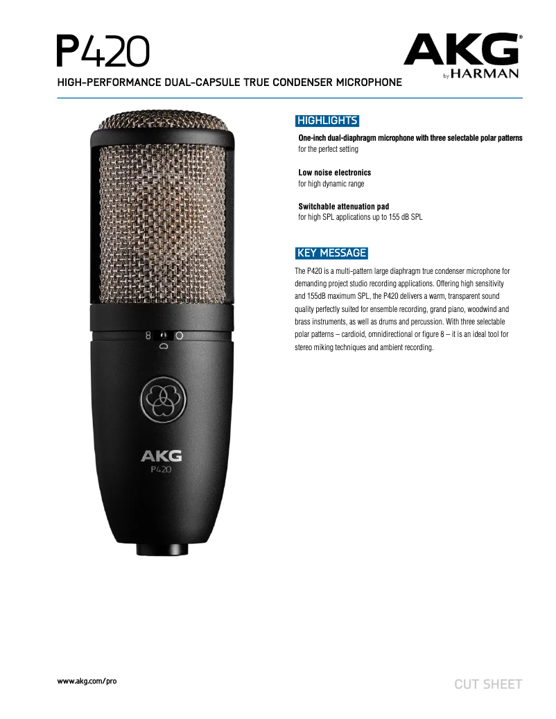 Imagen de la primera página del manual del dispositivo P420