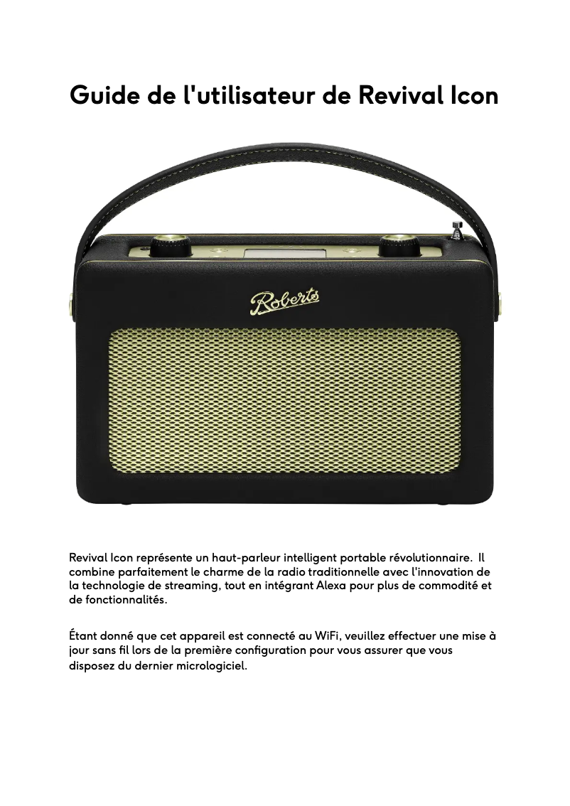 Imagen de la primera página del manual del dispositivo Revival Icon