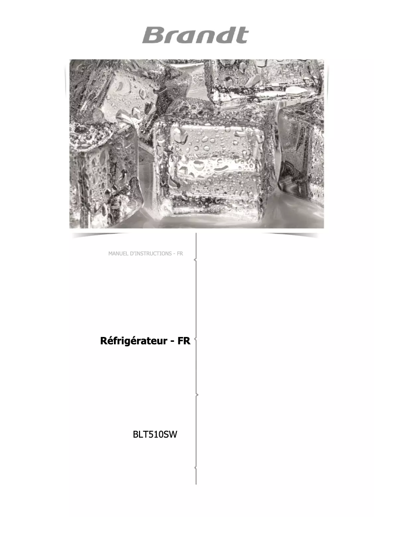 Imagen de la primera página del manual del dispositivo BLT510FSW