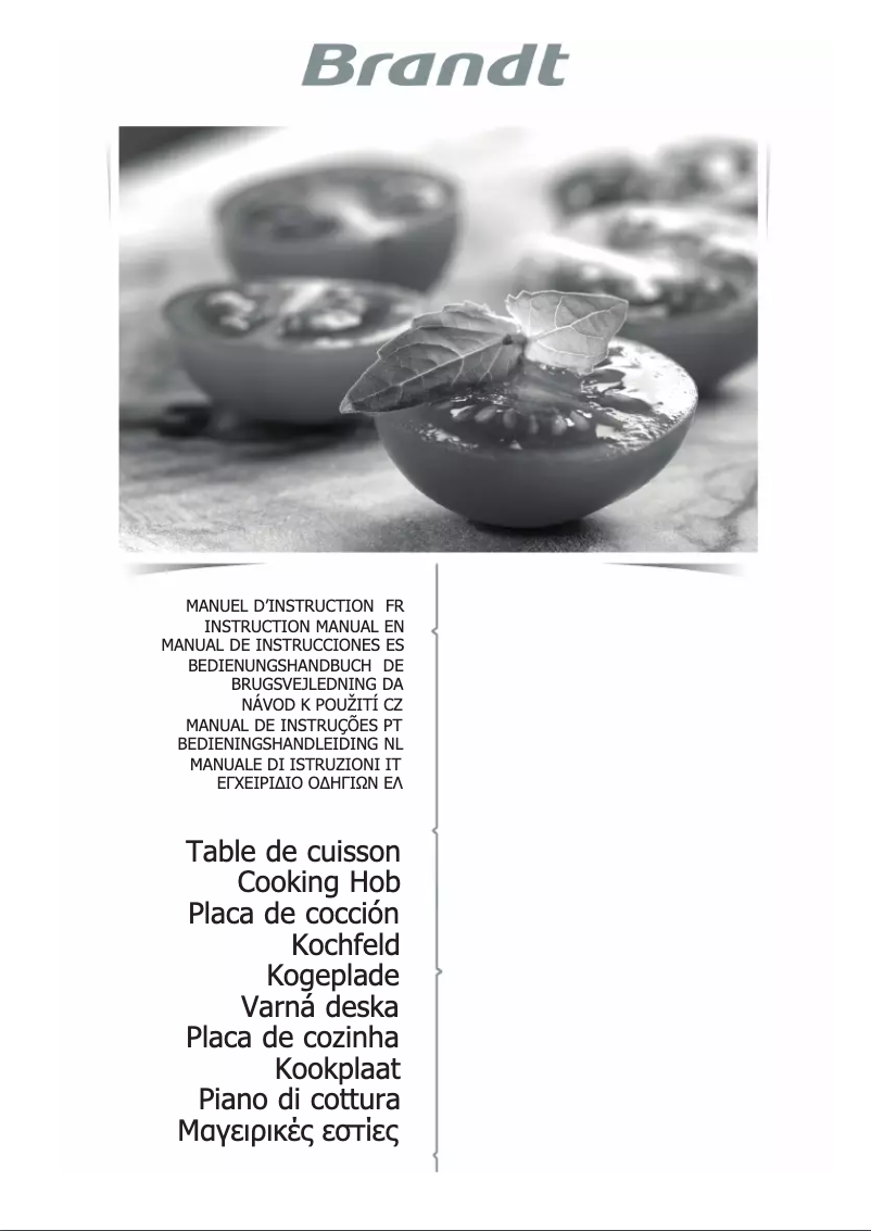 Página 1 del manual Manual de usuario Brandt BPI6428UB