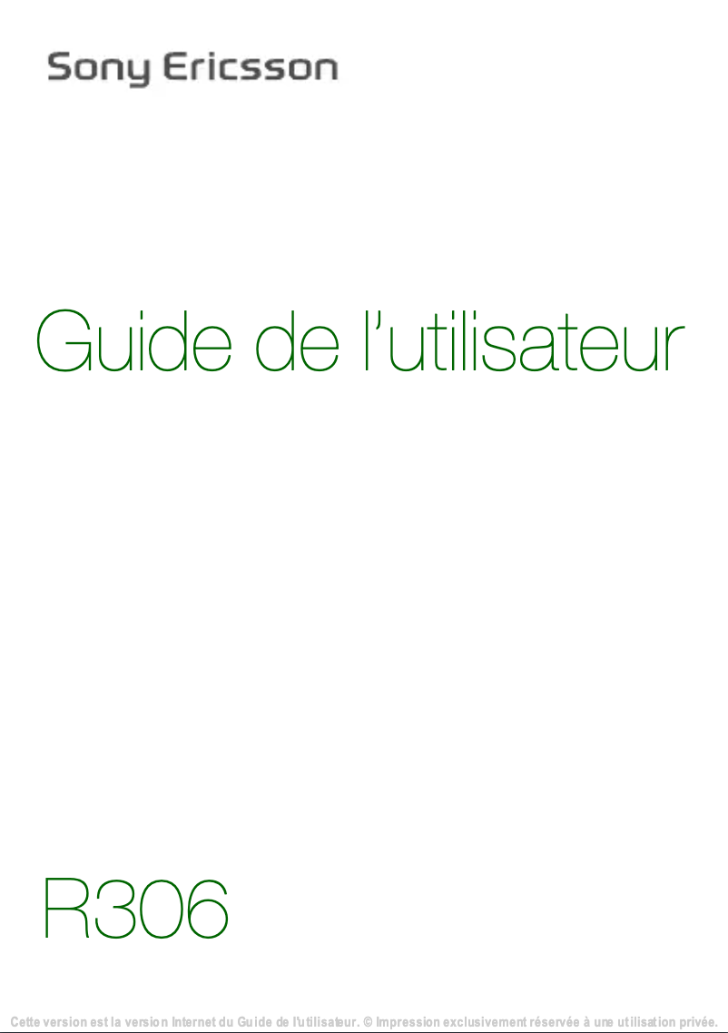 Imagen de la primera página del manual del dispositivo R306